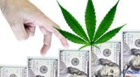 Marijuana Stock Revenue