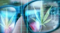 Marijuana Stocks To Watch