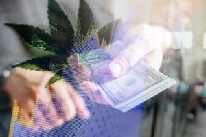 Marijuana Stocks to Watch Right Now