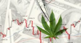 Pot Stock to Watch 2021