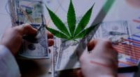 Pot Stocks to Buy