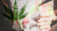 Top Cannabis Industry Stocks
