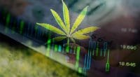 Top Marijuana Stock To Watch