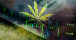 Top Marijuana Stock To Watch