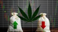 Top Marijuana Stocks To Watch in 2020