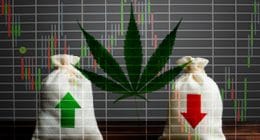 Top Marijuana Stocks To Watch in 2020