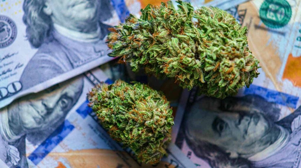 cannabis-buds-and-money-CBD-stocks-to-watch-ss-Feature