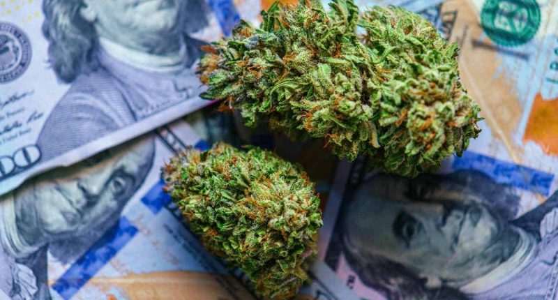 cannabis-buds-and-money-CBD-stocks-to-watch-ss-Feature