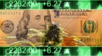 Best Cannabis Stocks 2020