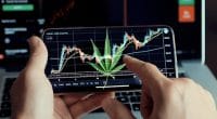 Best Marijuana Stock 2020