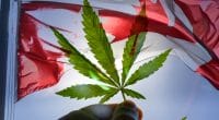 Canadian Marijuana Stocks To Buy