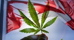 Canadian Marijuana Stocks To Buy