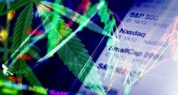 Cannabis Stock To Buy Today