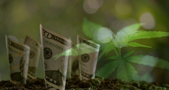 Tips For Investing In The Growing Cannabis Space - Marijuana Stocks ...