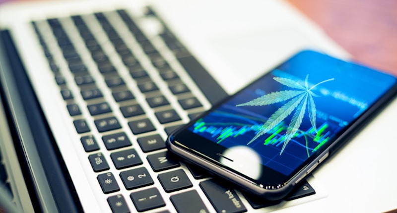 Cannabis Stock Watchlist Marijuana Leaf iphone