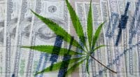 Cannabis Stocks to Watch Today