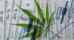 Cannabis Stocks to Watch Today