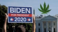 Joe Biden Election 2020 Marijuana Stocks