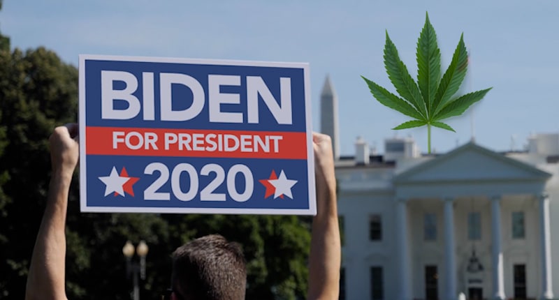 Joe Biden Election 2020 Marijuana Stocks