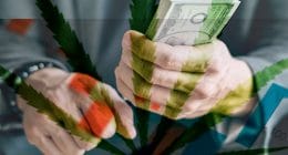 Marijuana Stock Watchlist