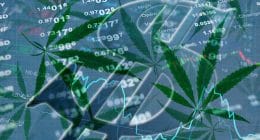 Marijuana Stock of To Buy 2020