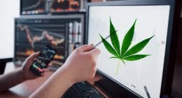 Marijuana Stocks To Buy Weed leaf