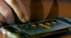 Pot Stocks To Watch Iphone trading