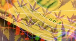 Top Marijuana Stocks for 2021