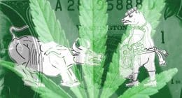 Best Cannabis Stocks in 2021