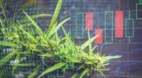 Best Marijuana Stock For Your Watchlist For January