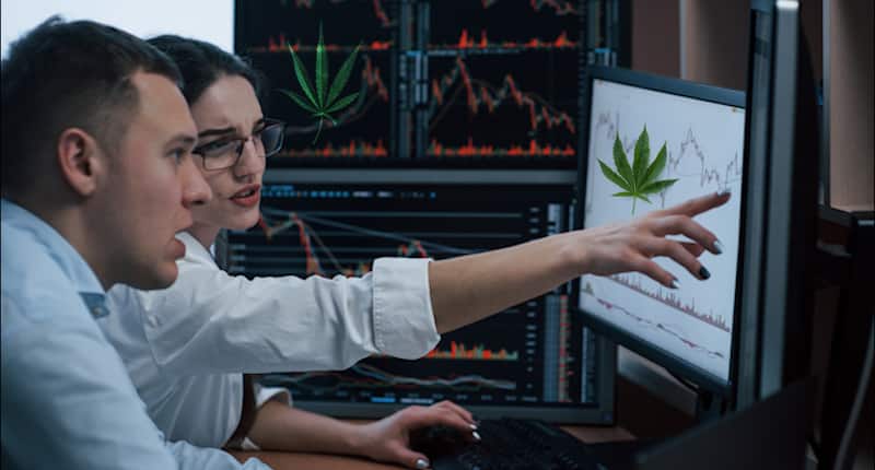 Best Marijuana Stocks To Buy For 2021 copy 2