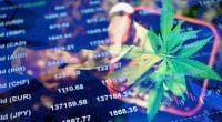 Pot Stocks To Buy Right Now For 2021