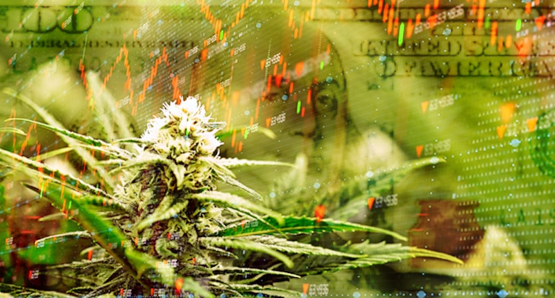 Top Pot Stocks For Your 2022 Watchlist