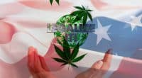 U.S. Cannabis Legalization 2020