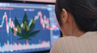 Best Marijuana Stocks To Buy For A Rebound