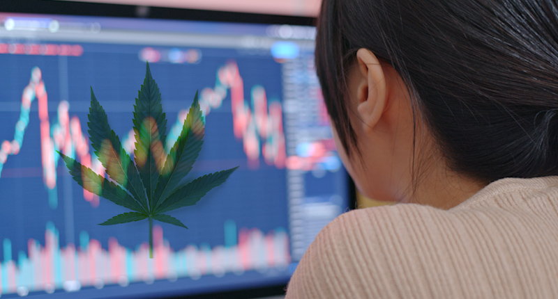 Best Marijuana Stocks To Buy For A Rebound