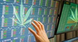 Best Marijuana Stocks To Watch Now