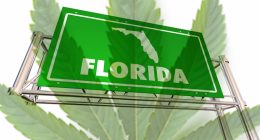 Florida Cannabis Industry