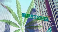 Marijuana Industry In Illinois