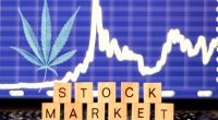 Marijuana Stocks In Todays Stock Market