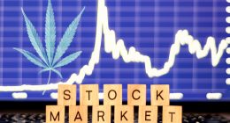 Marijuana Stocks In Todays Stock Market