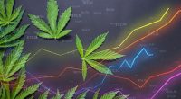 Marijuana Stocks Make Gains In January