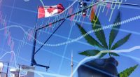 Top Canadian Marijuana Stocks In August 2022