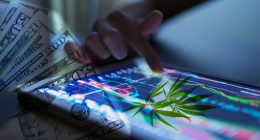 Top Pot Stocks To Watch Today