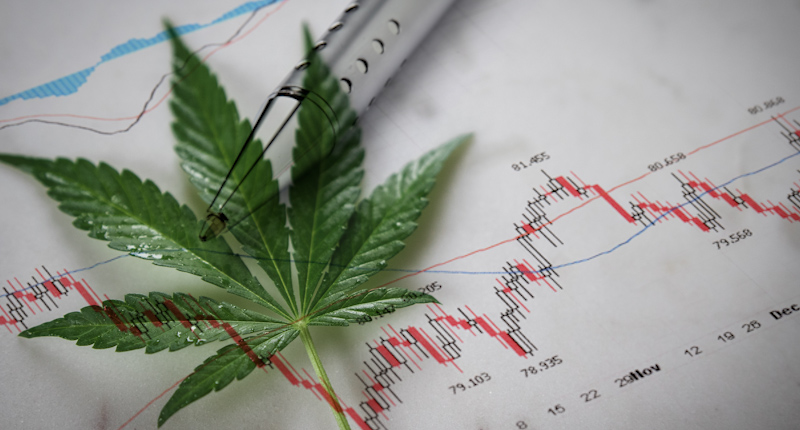 Top cannabis stocks to watch
