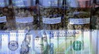 marijuana stocks in the U.S. cannabis industry