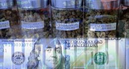 marijuana stocks in the U.S. cannabis industry