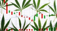 Best Cannabis Stocks To Watch Today