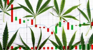 Best Cannabis Stocks To Watch Today
