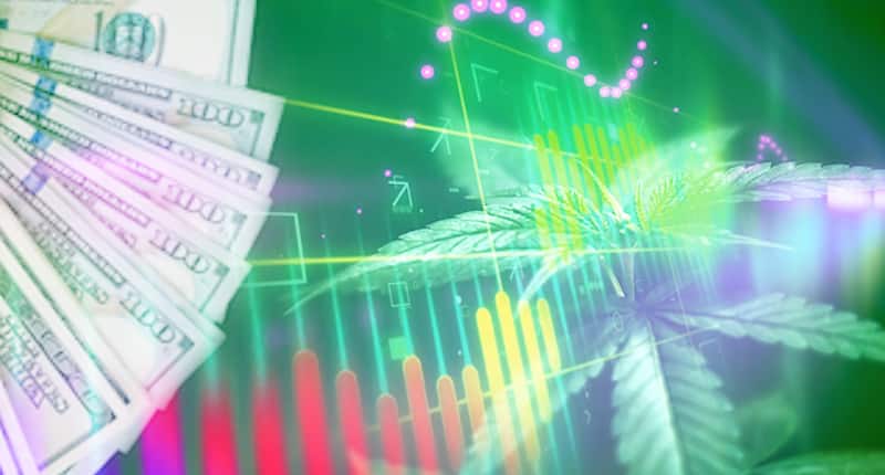 Best Marijuana Stocks First Week In February